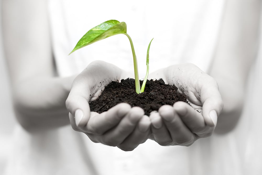 Non-Life Insurance Premiums Register 2.7% Growth In November