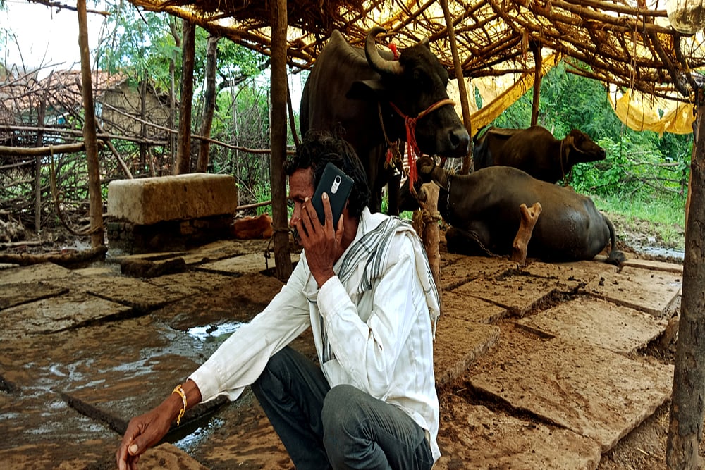 Govt To Take Steps To Make Kisan Credit Cards Available To More Dairy Farmers