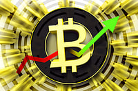 How Do Cryptocurrencies Operate? How Do Cryptocurrencies Operate?