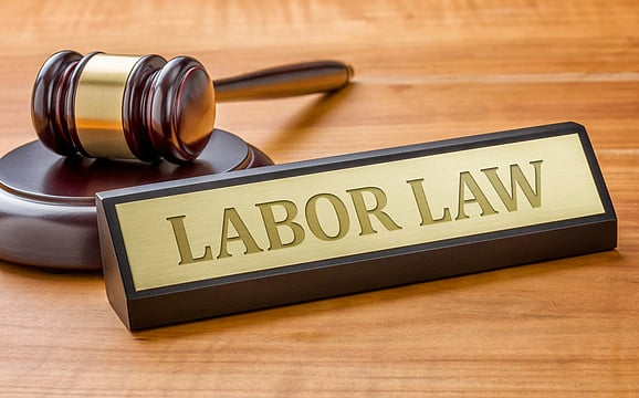 Government Plans Launch of 'Labour Welfare and Employment Index' for State Rankings