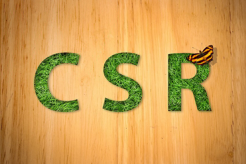 Spend On CSR In Neglected Regions: FM - null