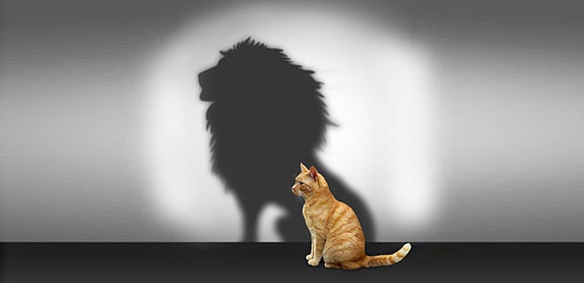 Why your investments don’t make money for you?