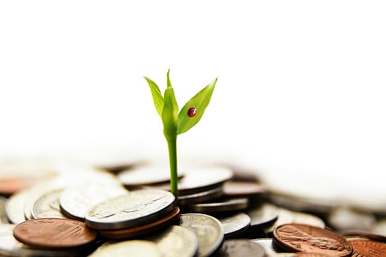 Green is the Future of Investment