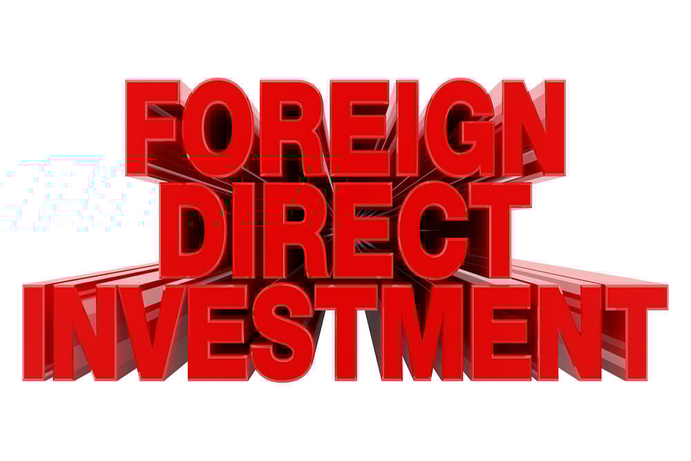 Govt Looking at Procedural Easing to Further Promote FDI: Official