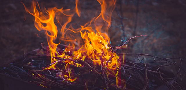 Global Temperature Hits 1.5 Degrees Celsius, Will 2024 be the Hottest Year?