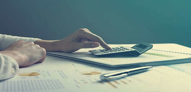 Birla Sun life Tax Relief’96