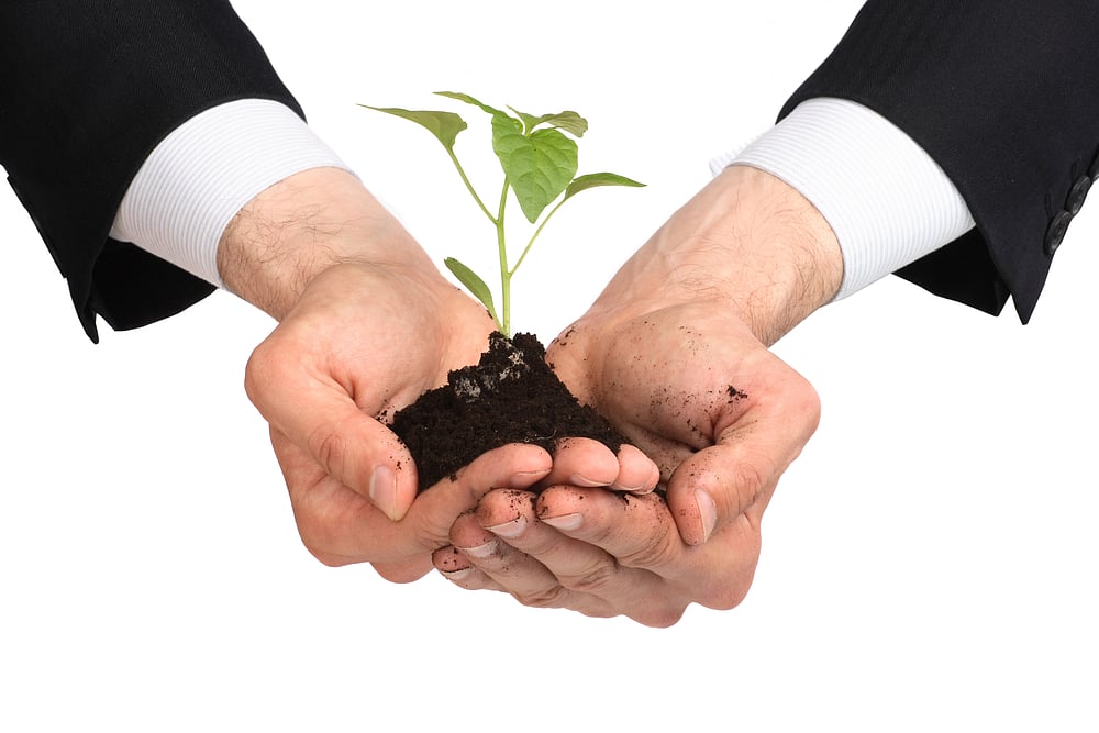 Fighting Global Warming With A Term Insurance