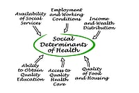 ‘Health in All Policies’ Approach Can Boost Social Determinants of Health