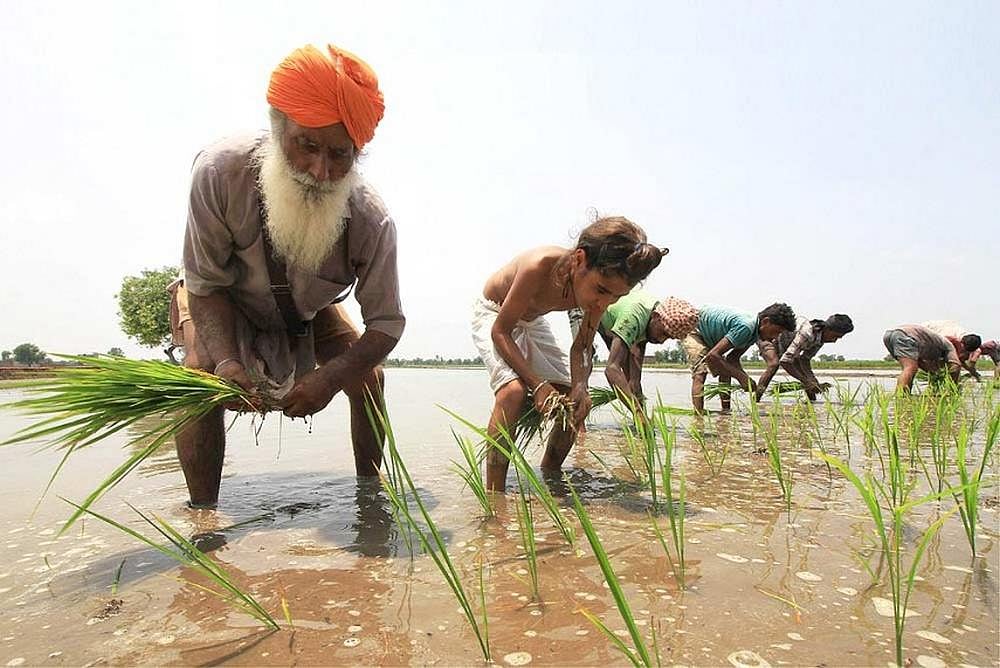 Irdai Eases Solvency Margin Requirement For Crop Business; To Unlock Rs 1,400 Crore Funds