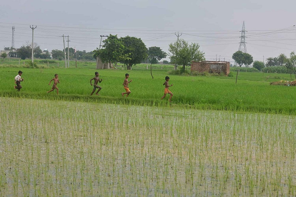 4 Lakh Hectare Under Natural Farming Now; Niti Aayog To Prepare Roadmap To Scale Up: Tomar