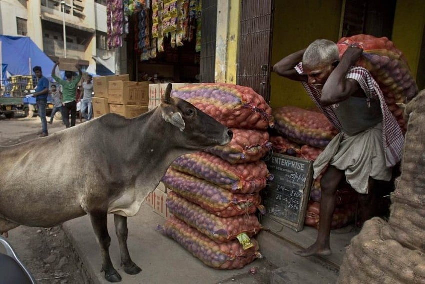 Retail Inflation Slows To 5.88% In November, Falls Below RBIs Tolerance Level For First Time Since January