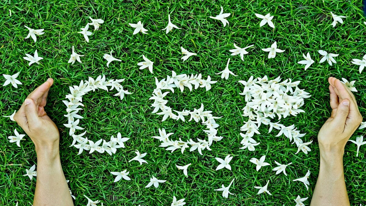 Companies Can Spend CSR Funds For Activities Related To Har Ghar Tiranga Campaign: Govt