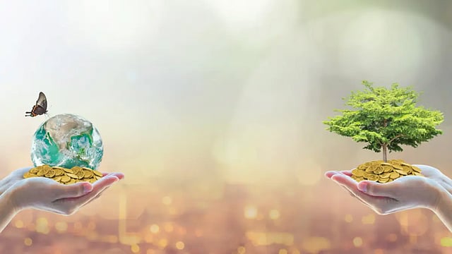 The Great ESG Reporting Divide