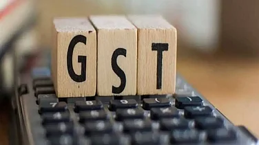 GST Council Should Consider Lowering Tax On Household Insecticides To 5 Pc: EY-HICA Report