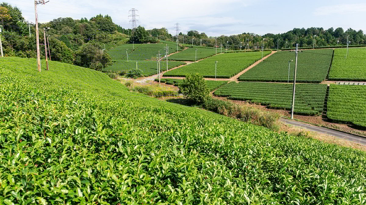  Public/stakeholders can send their comments on these four draft bills by February 9 this year.