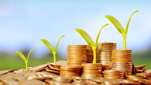 Budget Should Focus On ESG Issues To Promote Green Economy: Experts