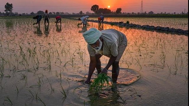Boost Incomes, Resilience of Farmers to Weather Climate Change, Say Experts