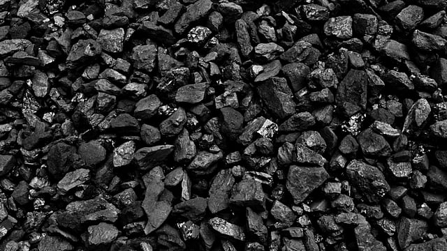 Coal India Net Profit Surges 48% To Rs 4,558 Crore In December Quarter