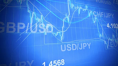 Andhra CM Urges FM Sitharaman to Stabilise Prices of Shrimp Feed Raw Materials