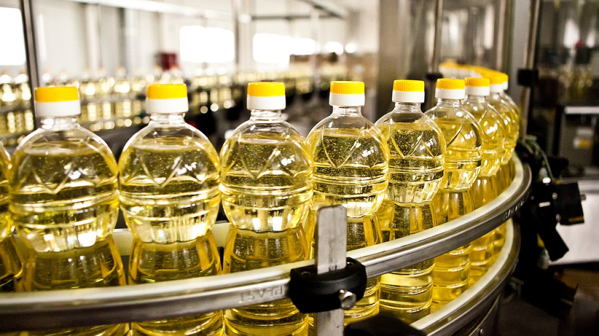 Edible oil