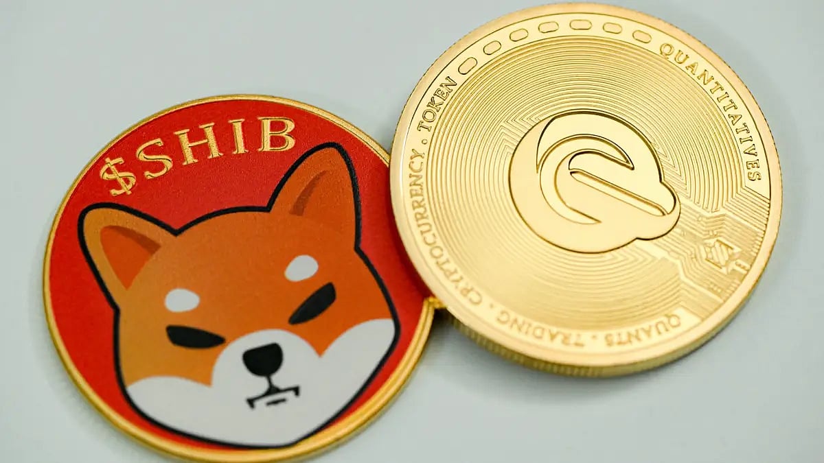CoinSwitch Suspends Crypto Payment Methods; Shiba Inu Up 20%, Global Market Rises 2%