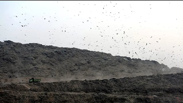 Kerala Cities To Be Solid Waste-Free; Project Launched In 93 Urban Bodies