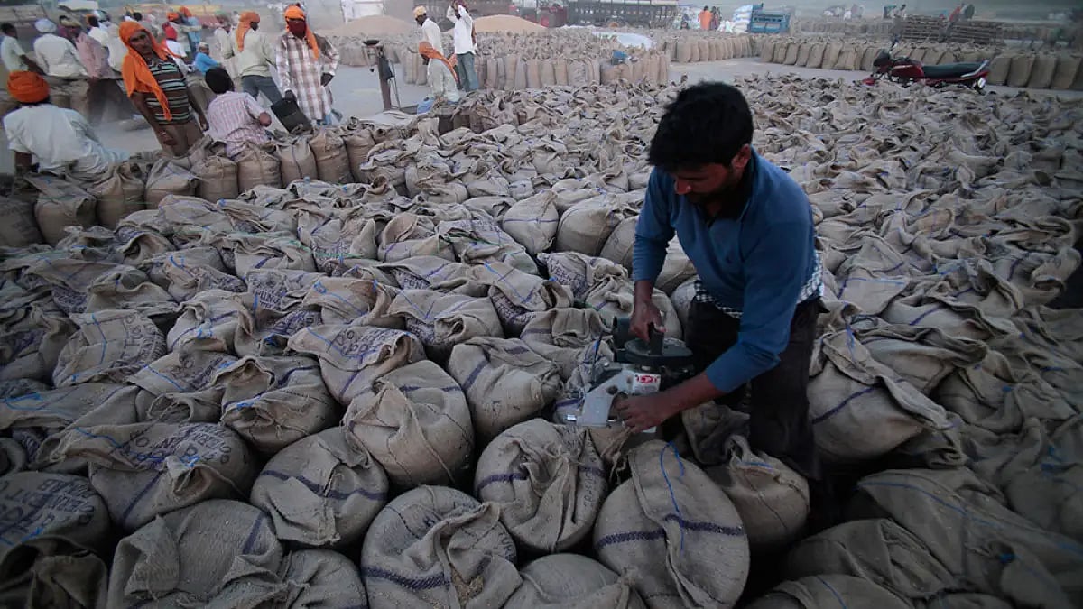 Govt Puts In Place New Approval Framework For Wheat Flour Exports