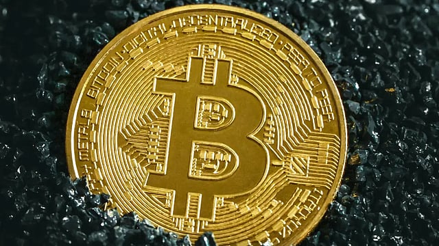Shiba Inu Up 8%, Terra Luna Delisted From Indian Exchanges; Emirates May Start Accepting Bitcoin