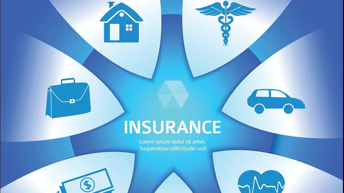 Here Are Seven Things You Should Know Before Buying A Maternity Cover