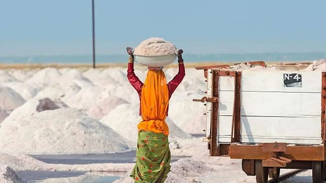 DPIIT Working On Policy For Auction Of Salt Land To Private Players