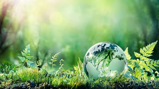EESL, IMT-GT JBC Ink MoU To Promote Energy Efficient, Sustainable Practices