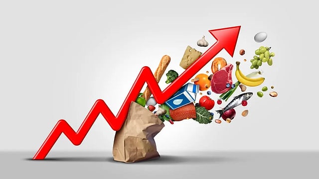Import Freight Cost Surge By 10% Increases Annual CPI By 0.21 Percentage Point: RBI Article