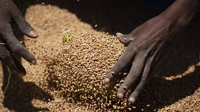 Govt Says It Has Sufficient Foodgrain Stocks To Meet Requirements Of Welfare Schemes