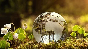 Why India Must Accelerate the Transition to Decarbonise Power Infra