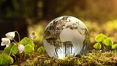 Why India Must Accelerate the Transition to Decarbonise Power Infra