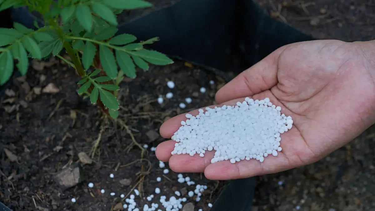 Source: Shutterstock