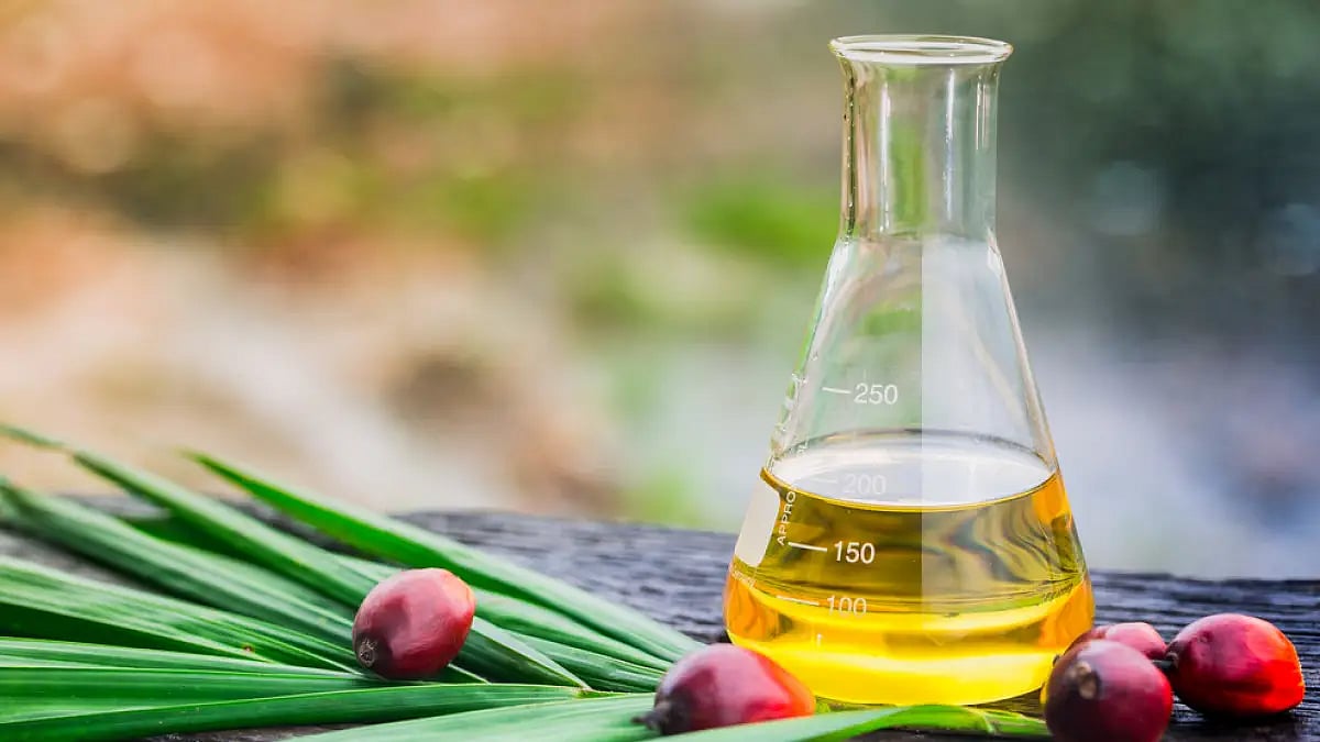 Vegetable Oil Import down 16% in March to 9.98 Lakh Tonne: SEA 