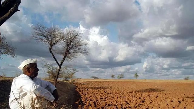 Agri Minister Launches SARATHI Portal For Insurance Products, Helpline To Resolve Crop Insurance-Related Grievance