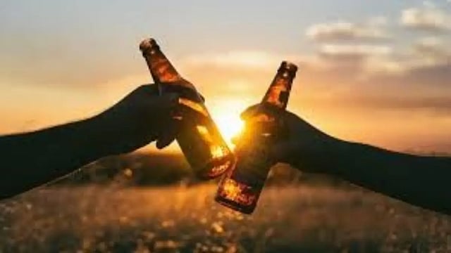 Carlsberg India FY’24 Sales Cross Rs 8,000 Cr, Profit up 60.5% to Rs 323 Cr