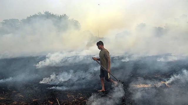 Stubble Burning, Vehicle Emission among Causes of Delhi Pollution: Officials to Parliamentary Panel