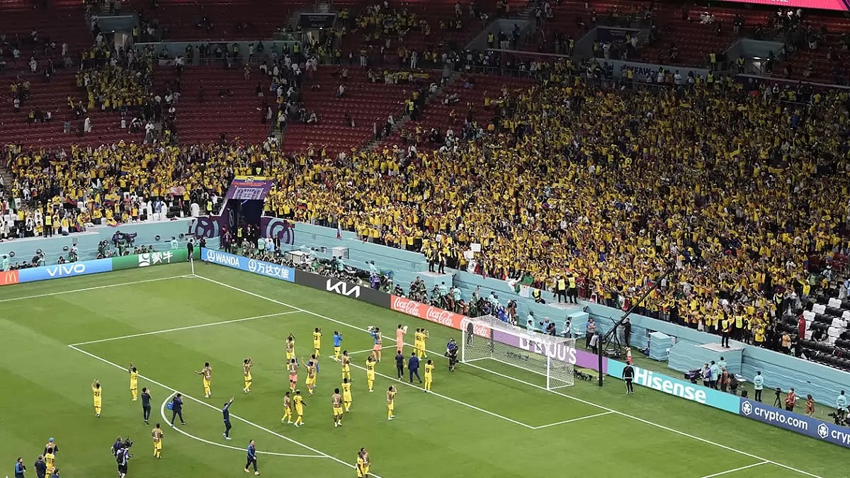 No Visas For Qatar During Fifa World Cup, Only Hayya Card For Fans And Visitors