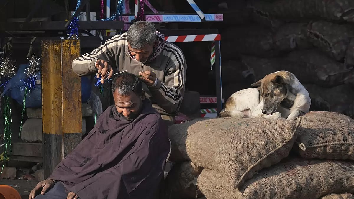 Labourer at Azadpur Mandi