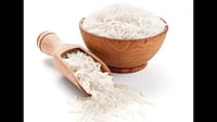 Basmati Rice Exporters Urge Govt Action On Shipping Charges Amid West Asia Crisis Basmati Rice Exporters Urge Govt Action On Shipping Charges Amid West Asia Crisis