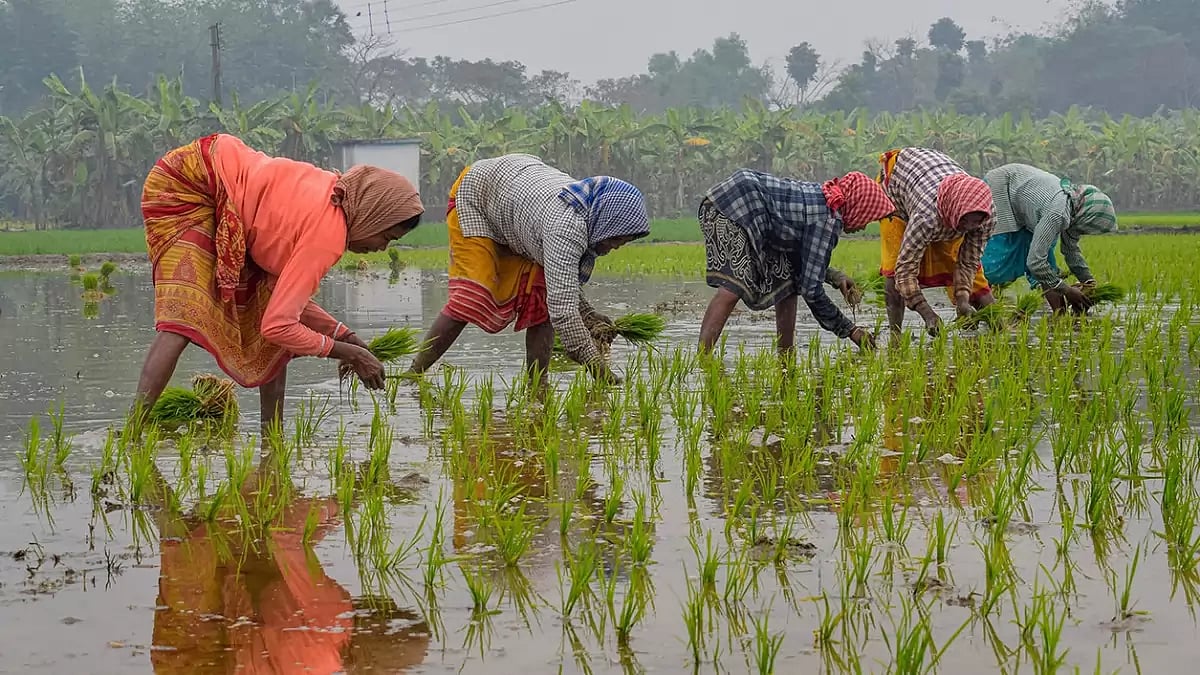 G20 Agriculture Deputies First Meeting To Be Held From Feb 13-15 In Indore