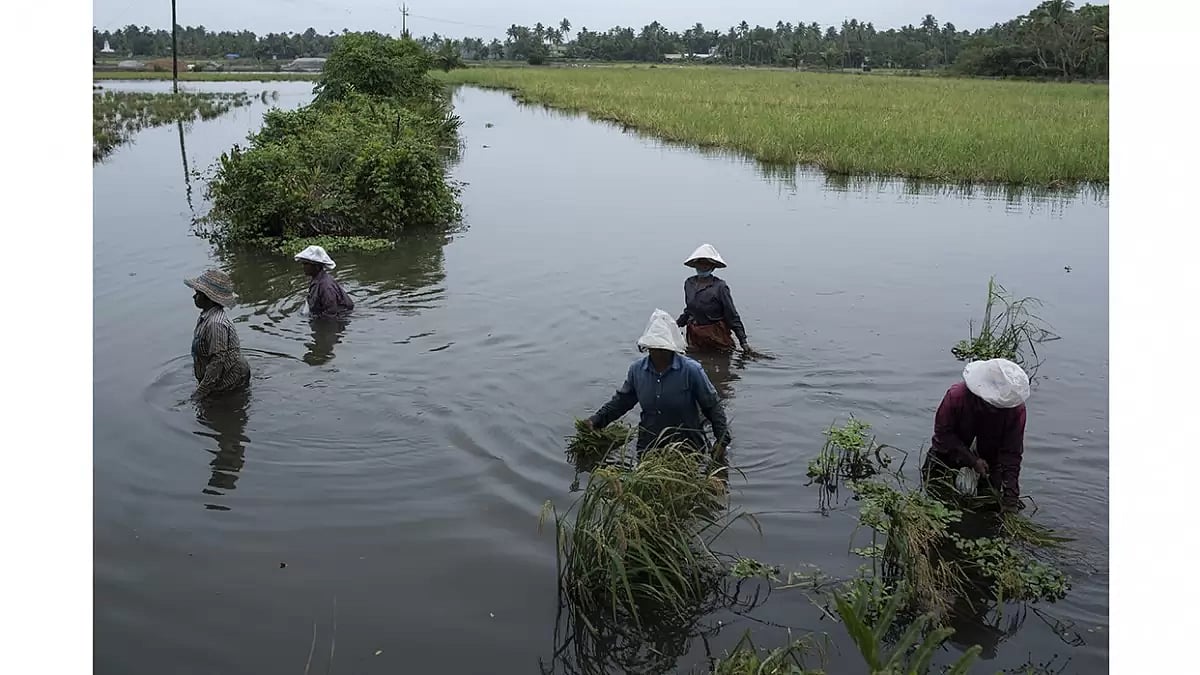 India’s latest move to divert 2.8 million tonnes of FCI rice for ethanol production sparks debate on its effects on food security and sustainability. - null