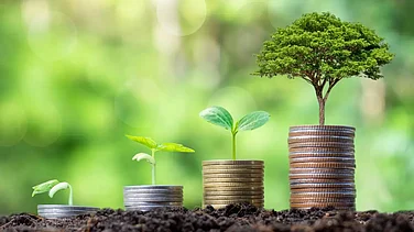 Investing In Value Funds Vs Focused Funds: Which Is More Rewarding, Which Is Riskier?