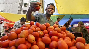 Tomato prices soar
