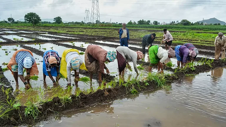 Sustainable agriculture - null