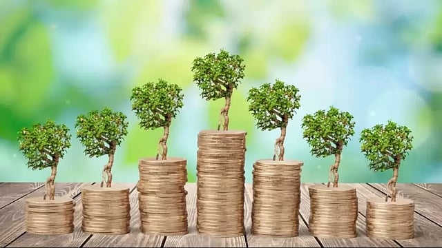 Need More Private Investments To Address Shortage Of Feedstock Cracker In Petrochemicals Sector: Government