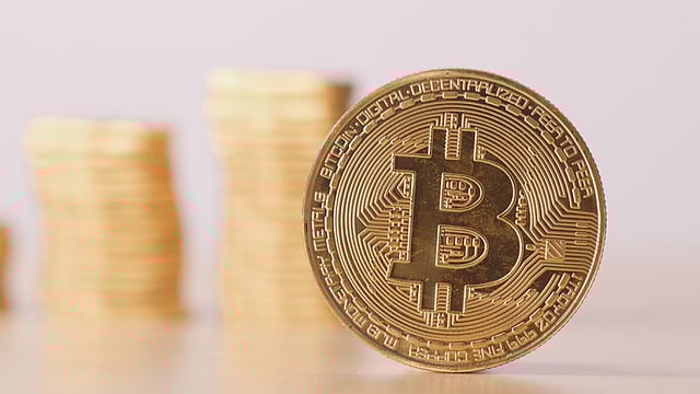 Economic Survey Skips Cryptos, Sanjeev Sanyal Says It's Still Being Debated By Govt; Shiba Inu, Bitcoin Fall 